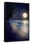 Beautiful Fantasy Tropical Beach with Milky Way Star in Night Skies, Full Moon - Retro Style Artwor-jakkapan-Framed Stretched Canvas