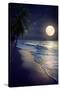 Beautiful Fantasy Tropical Beach with Milky Way Star in Night Skies, Full Moon - Retro Style Artwor-jakkapan-Stretched Canvas