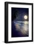 Beautiful Fantasy Tropical Beach with Milky Way Star in Night Skies, Full Moon - Retro Style Artwor-jakkapan-Framed Photographic Print