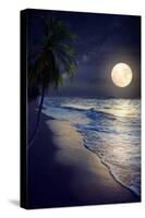 Beautiful Fantasy Tropical Beach with Milky Way Star in Night Skies, Full Moon - Retro Style Artwor-jakkapan-Stretched Canvas
