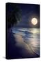 Beautiful Fantasy Tropical Beach with Milky Way Star in Night Skies, Full Moon - Retro Style Artwor-jakkapan-Stretched Canvas