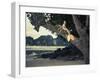 Beautiful Fashionable Mermaid Sitting On A Mighty Tree On The Beach-George Mayer-Framed Art Print