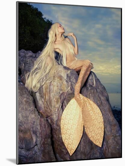 Beautiful Fashionable Mermaid Sitting On A Rock By The Sea-George Mayer-Mounted Art Print