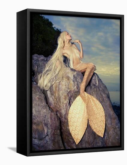 Beautiful Fashionable Mermaid Sitting On A Rock By The Sea-George Mayer-Framed Stretched Canvas