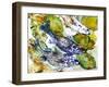 beautiful fish-jocasta shakespeare-Framed Giclee Print
