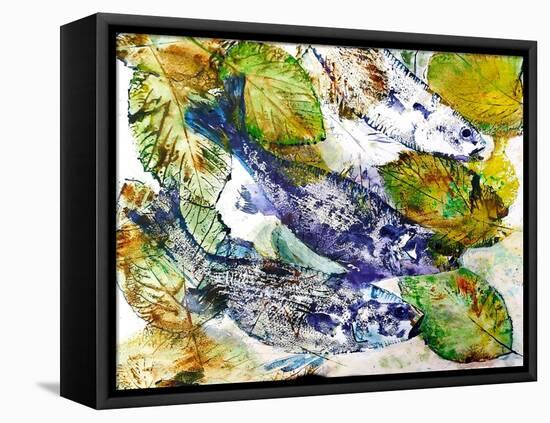 beautiful fish-jocasta shakespeare-Framed Stretched Canvas
