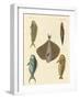 Beautiful Fish-null-Framed Giclee Print