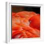 Beautiful Flamingo-behindlens-Framed Photographic Print