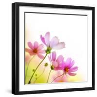 Beautiful Floral Border-Subbotina Anna-Framed Premium Photographic Print