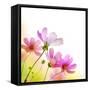 Beautiful Floral Border-Subbotina Anna-Framed Stretched Canvas