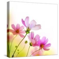 Beautiful Floral Border-Subbotina Anna-Stretched Canvas