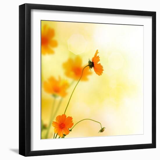 Beautiful Floral Border-Subbotina Anna-Framed Premium Photographic Print