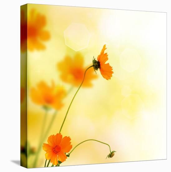 Beautiful Floral Border-Subbotina Anna-Stretched Canvas