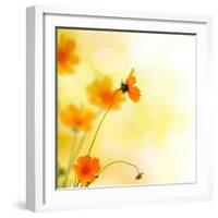 Beautiful Floral Border-Subbotina Anna-Framed Photographic Print