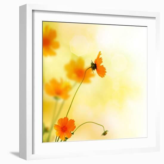 Beautiful Floral Border-Subbotina Anna-Framed Photographic Print