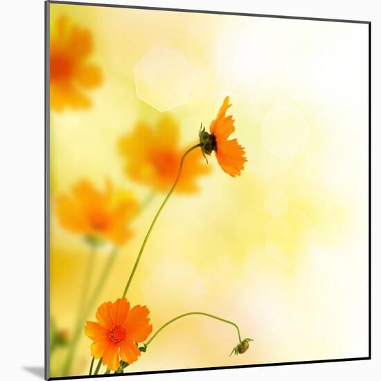 Beautiful Floral Border-Subbotina Anna-Mounted Photographic Print