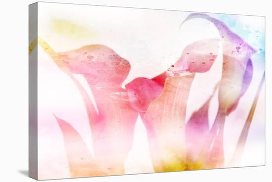 Beautiful Flowers Made with Color Filters and Textures-Timofeeva Maria-Stretched Canvas