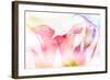 Beautiful Flowers Made with Color Filters and Textures-Timofeeva Maria-Framed Art Print