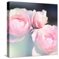 Beautiful Flowers Made with Color Filters and Textures-Timofeeva Maria-Stretched Canvas