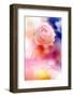 Beautiful Flowers Made with Color Filters and Textures-Timofeeva Maria-Framed Photographic Print