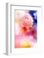 Beautiful Flowers Made with Color Filters and Textures-Timofeeva Maria-Framed Photographic Print