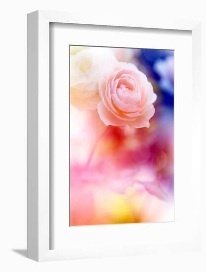 Beautiful Flowers Made with Color Filters and Textures-Timofeeva Maria-Framed Photographic Print
