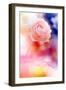 Beautiful Flowers Made with Color Filters and Textures-Timofeeva Maria-Framed Photographic Print