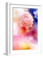 Beautiful Flowers Made with Color Filters and Textures-Timofeeva Maria-Framed Photographic Print