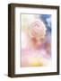 Beautiful Flowers Made with Color Filters and Textures-Timofeeva Maria-Framed Photographic Print