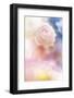 Beautiful Flowers Made with Color Filters and Textures-Timofeeva Maria-Framed Photographic Print