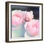 Beautiful Flowers Made with Color Filters and Textures-Timofeeva Maria-Framed Photographic Print