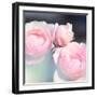 Beautiful Flowers Made with Color Filters and Textures-Timofeeva Maria-Framed Photographic Print