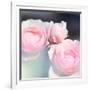 Beautiful Flowers Made with Color Filters and Textures-Timofeeva Maria-Framed Photographic Print