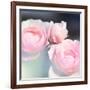 Beautiful Flowers Made with Color Filters and Textures-Timofeeva Maria-Framed Photographic Print