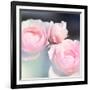 Beautiful Flowers Made with Color Filters and Textures-Timofeeva Maria-Framed Photographic Print