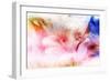 Beautiful Flowers Made with Color Filters and Textures-Timofeeva Maria-Framed Art Print