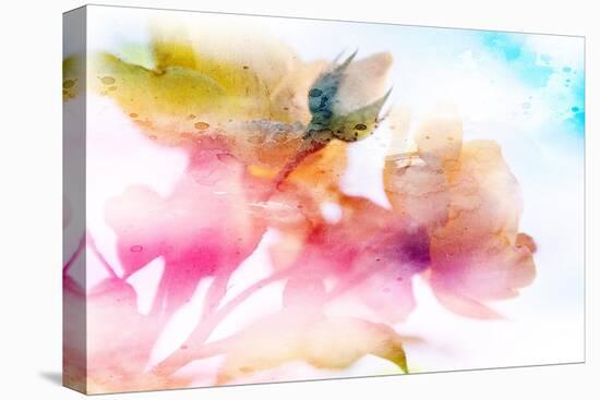 Beautiful Flowers Made with Color Filters and Textures-Timofeeva Maria-Stretched Canvas