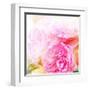 Beautiful Flowers Made with Color Filters and Textures-Timofeeva Maria-Framed Art Print