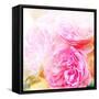 Beautiful Flowers Made with Color Filters and Textures-Timofeeva Maria-Framed Stretched Canvas