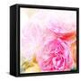 Beautiful Flowers Made with Color Filters and Textures-Timofeeva Maria-Framed Stretched Canvas