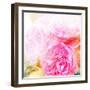 Beautiful Flowers Made with Color Filters and Textures-Timofeeva Maria-Framed Art Print