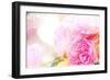 Beautiful Flowers Made with Color Filters and Textures-Timofeeva Maria-Framed Art Print