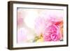 Beautiful Flowers Made with Color Filters and Textures-Timofeeva Maria-Framed Premium Giclee Print