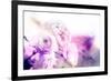 Beautiful Flowers Made with Color Filters and Textures-Timofeeva Maria-Framed Art Print