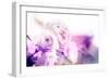 Beautiful Flowers Made with Color Filters and Textures-Timofeeva Maria-Framed Art Print