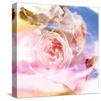 Beautiful Flowers Made with Color Filters and Textures-Timofeeva Maria-Stretched Canvas