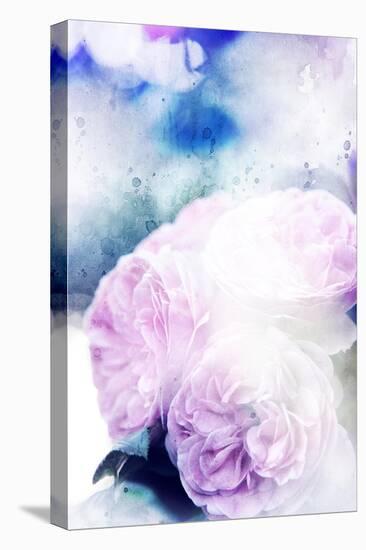 Beautiful Flowers Made with Color Filters and Textures-Timofeeva Maria-Stretched Canvas