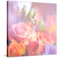 Beautiful Flowers Made with Color Filters, Floral Background-Timofeeva Maria-Stretched Canvas