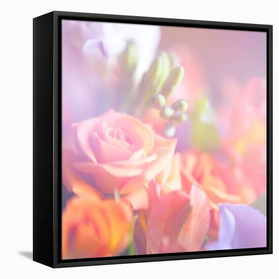 Beautiful Flowers Made with Color Filters, Floral Background-Timofeeva Maria-Framed Stretched Canvas