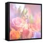 Beautiful Flowers Made with Color Filters, Floral Background-Timofeeva Maria-Framed Stretched Canvas